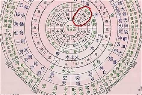 五行忌木|八字算命：八字忌木是什么意思